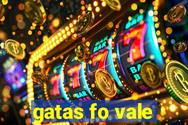 gatas fo vale